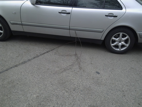 astauto