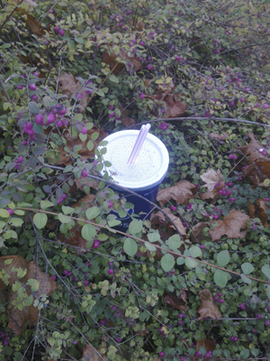 hecke01