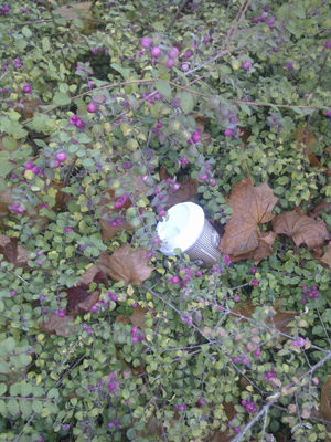 hecke02