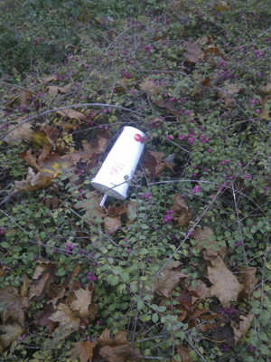 hecke03