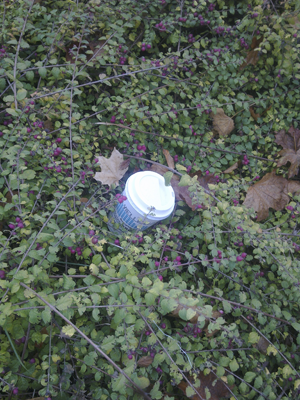 hecke04