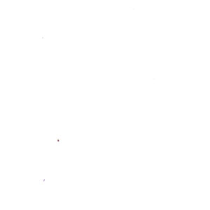 xl1_de
