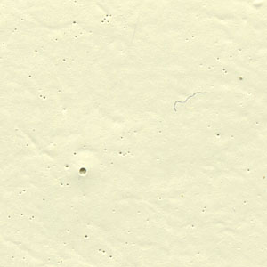 xs9_de