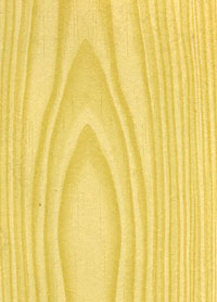 nm01