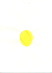 pp_12