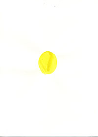 pp_13