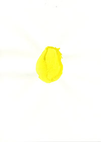 pp_16