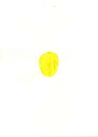 pp_17