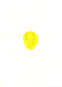pp_19