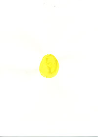 pp_21