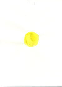 pp_24