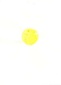 pp_25