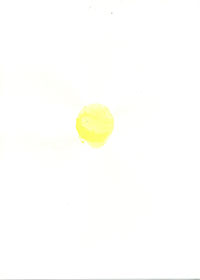 pp_27