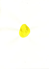 pp_05